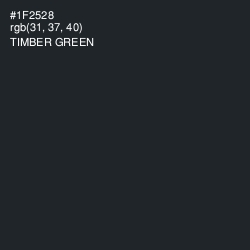 #1F2528 - Timber Green Color Image